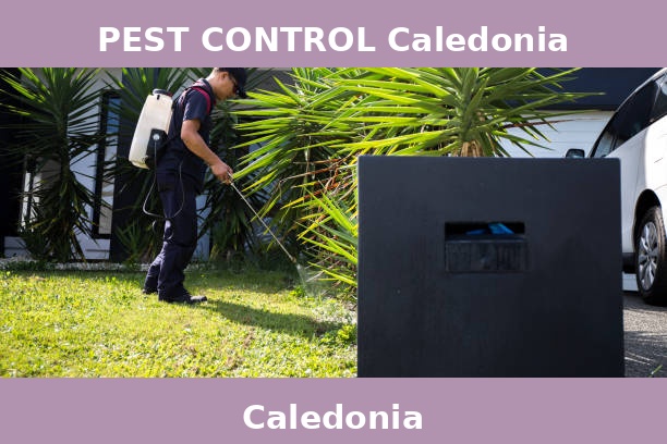 PEST CONTROL Caledonia